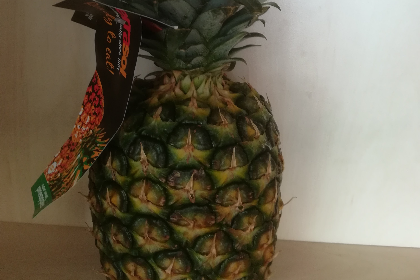 Ananas